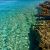 Topic image: The Ocean Environment